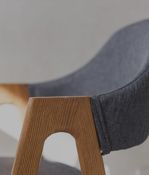 Elegant Living Room Furniture